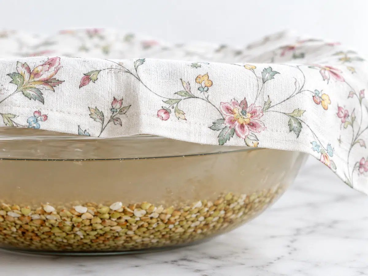 soaking buckwheat groats