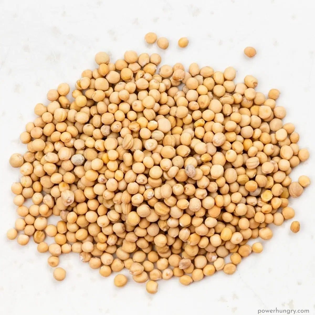 a pile of whole sorghum grains on a white background