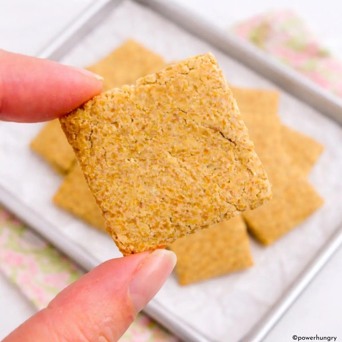 a single chickpea flour flax cracker, held in a person;s fingertips