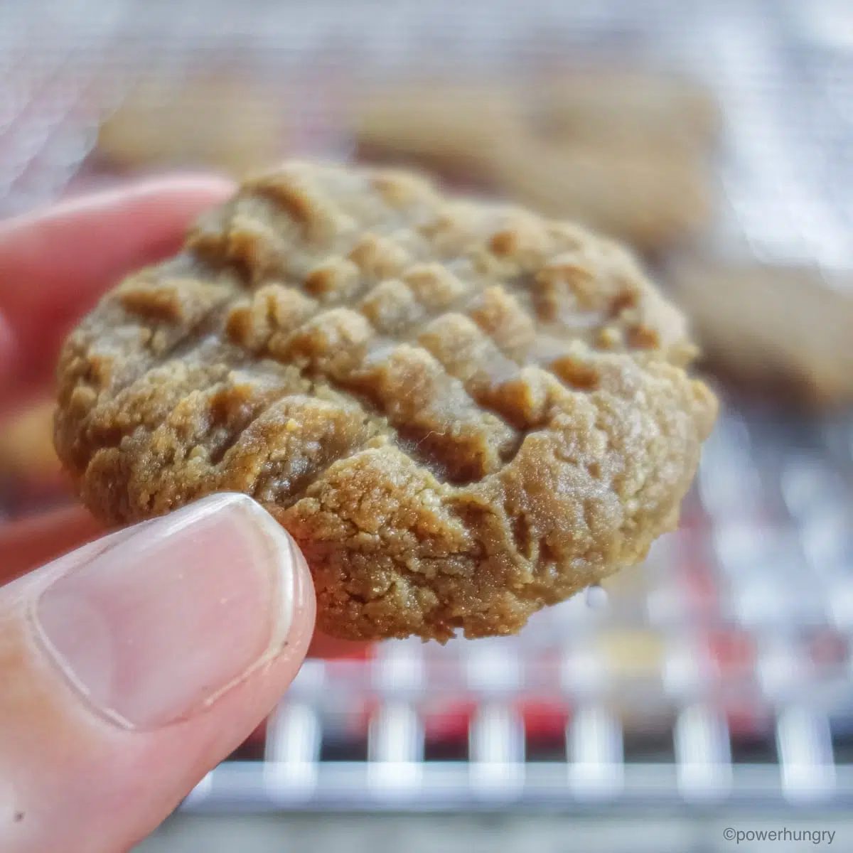 a close-up of a peanut butter cookie held in a person's fingertips