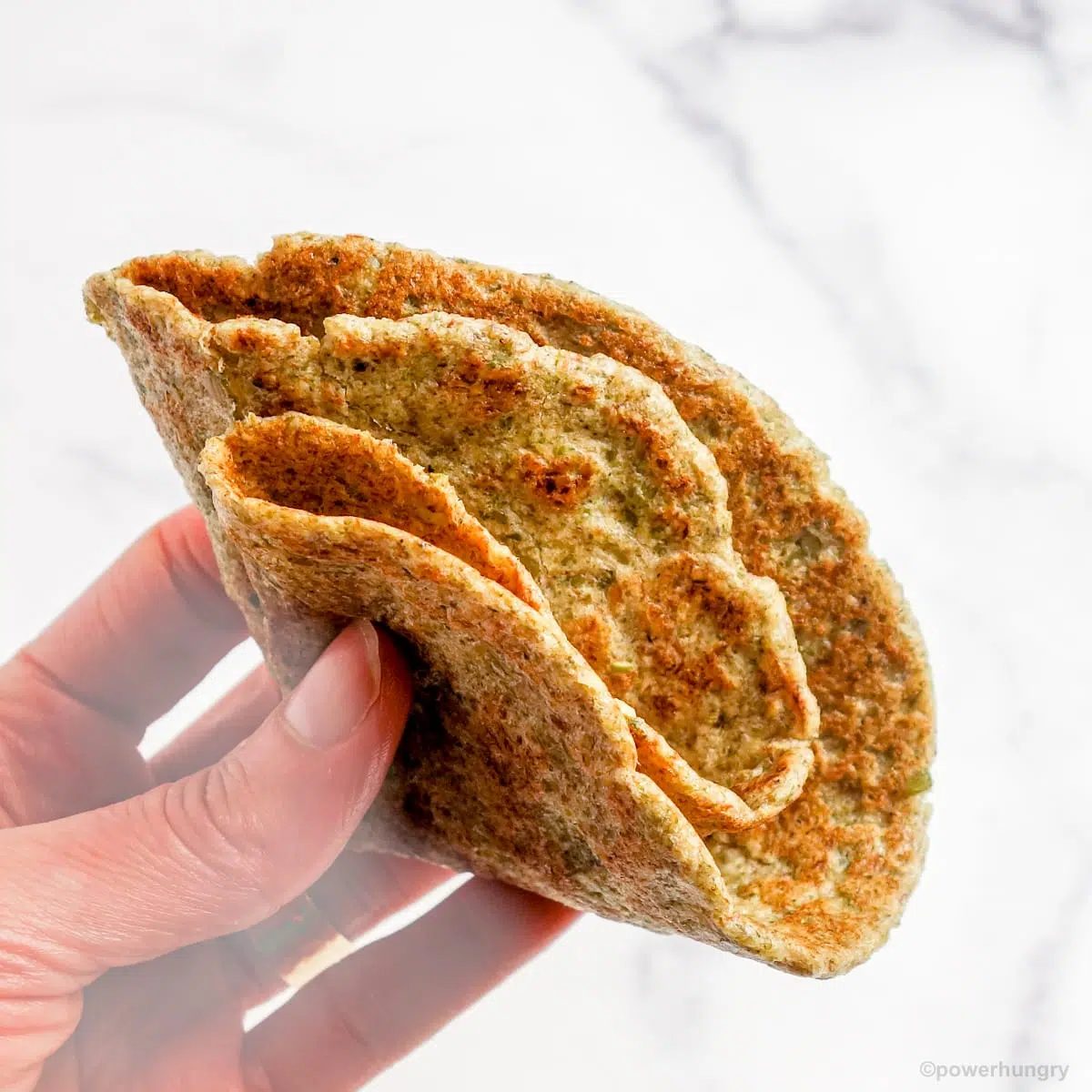 a quartered pepita tortilla held in someone's hand