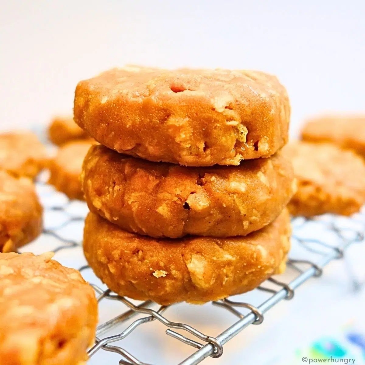 3-Ingredient No-Bake Protein Cookies (Vegan, Grain-Free)