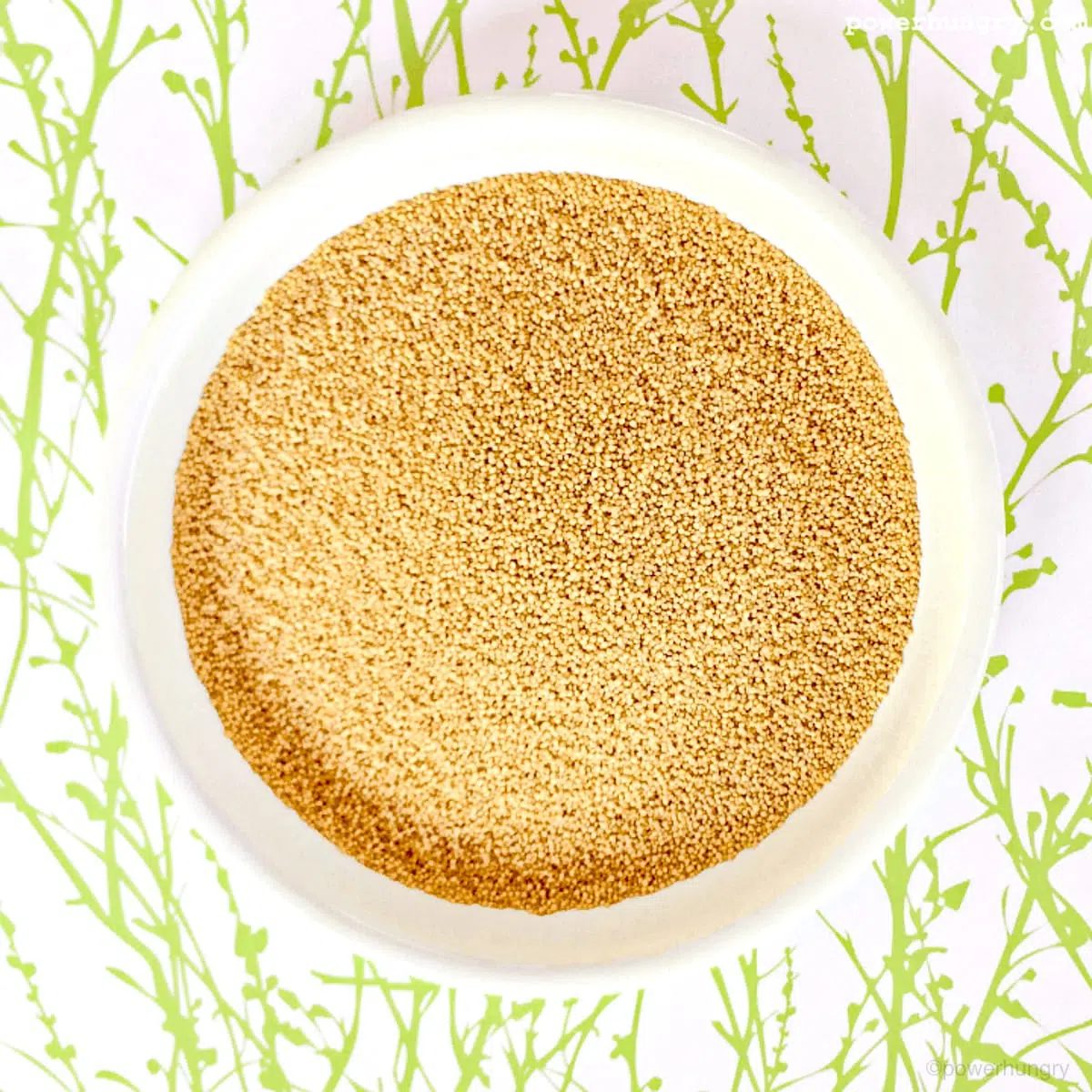 white bowl filled with raw amaranth