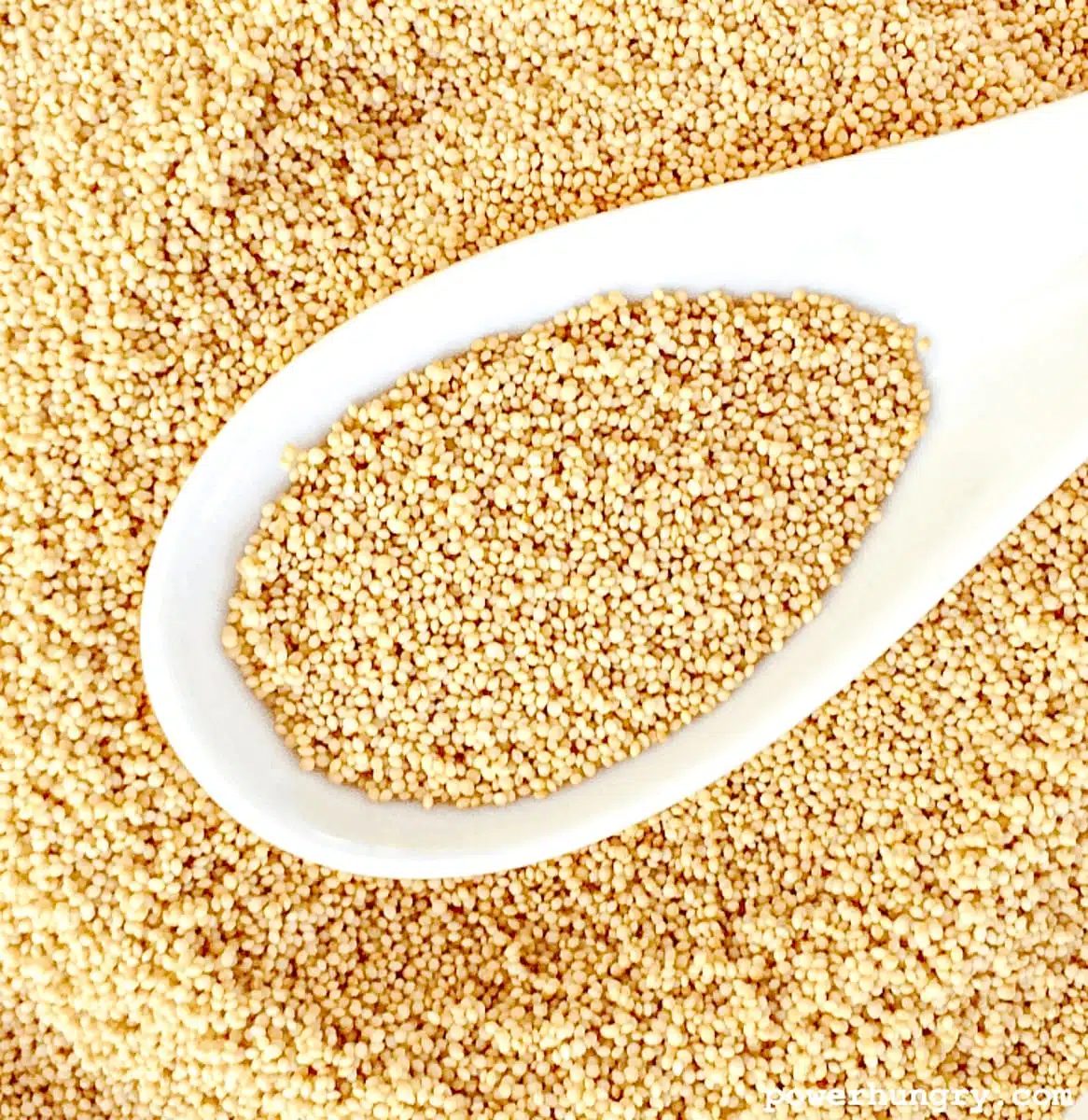 a white porcelain spoon filled with raw amaranth