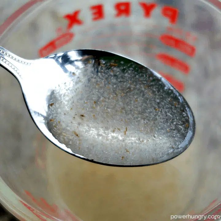 spoonful of gelled psyllium husk