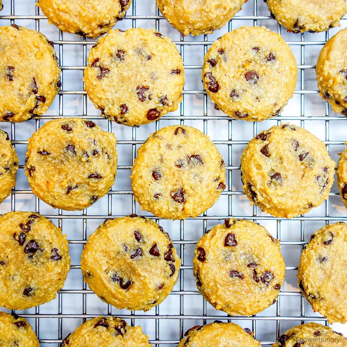 almond flour protein cookies cooling on a silver metal cooling rack