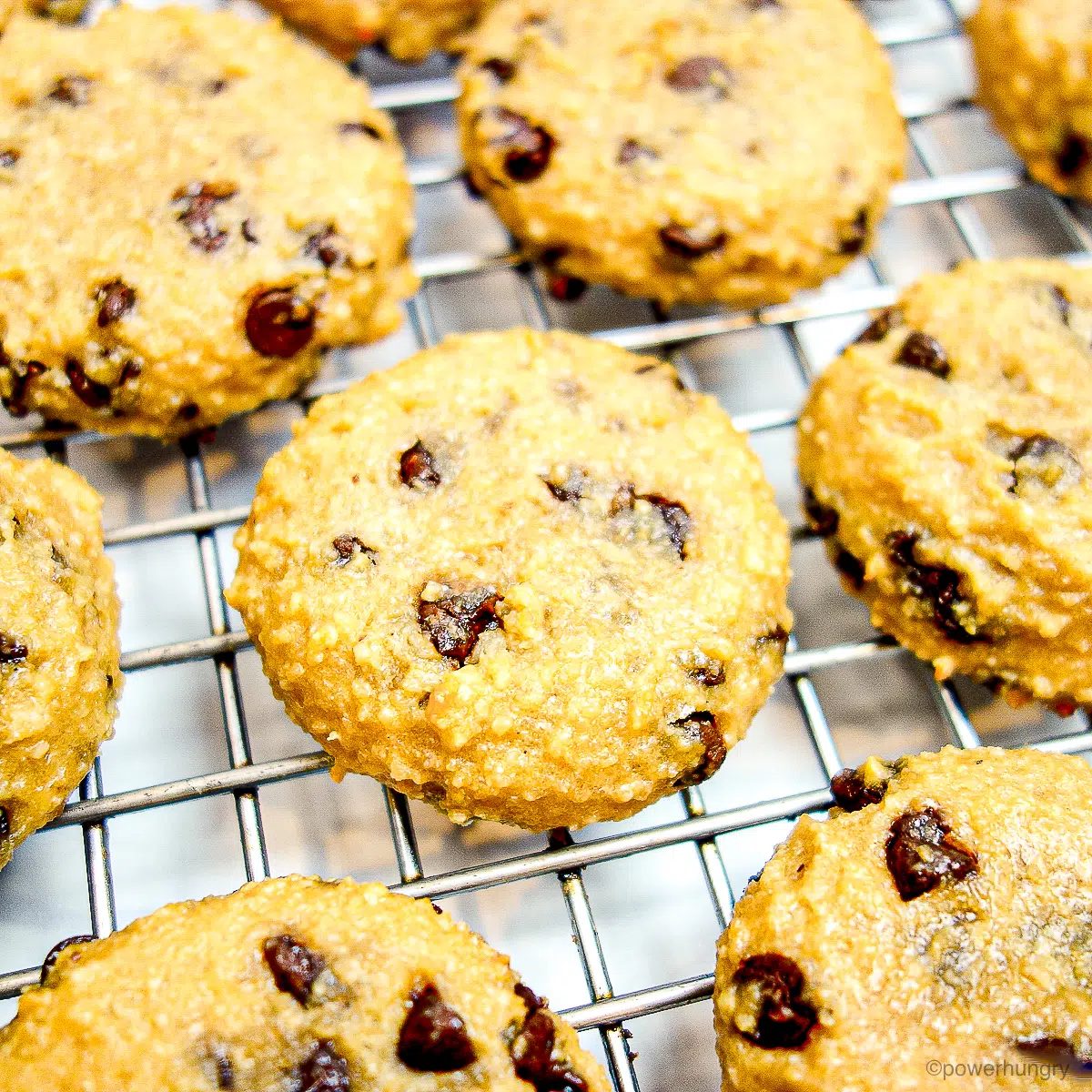 almond flour protein cookies on a cooling rack