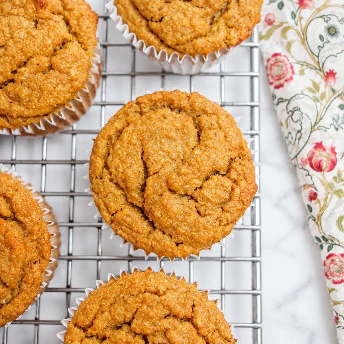 Applesauce Chickpea Flour Muffins (Vegan, Gluten-Free, Oil-Free)