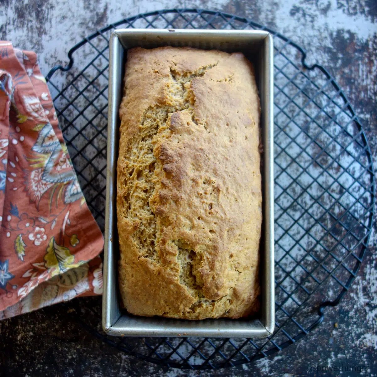 baked vegan millet applesauce bread in a metal pan, atop a cooling rack