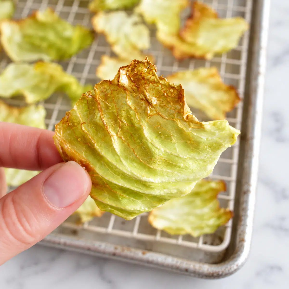 a single crispy baked cabbage chips being held in a hand