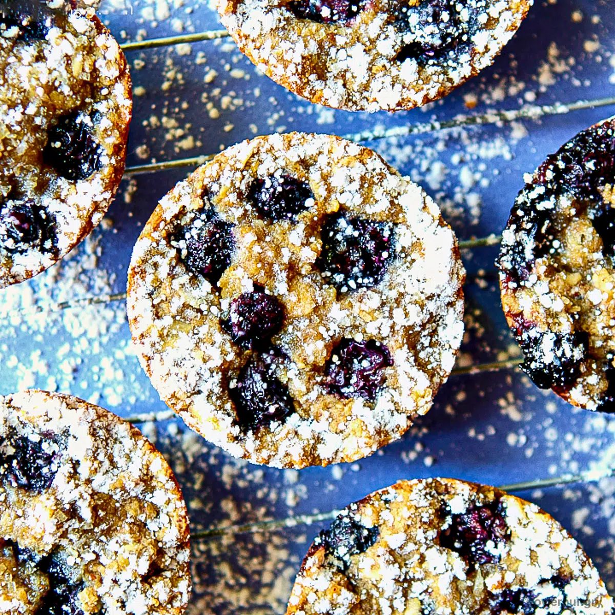 Banana Blueberry Breakfast Cookies (Vegan, GF, Oil-free)