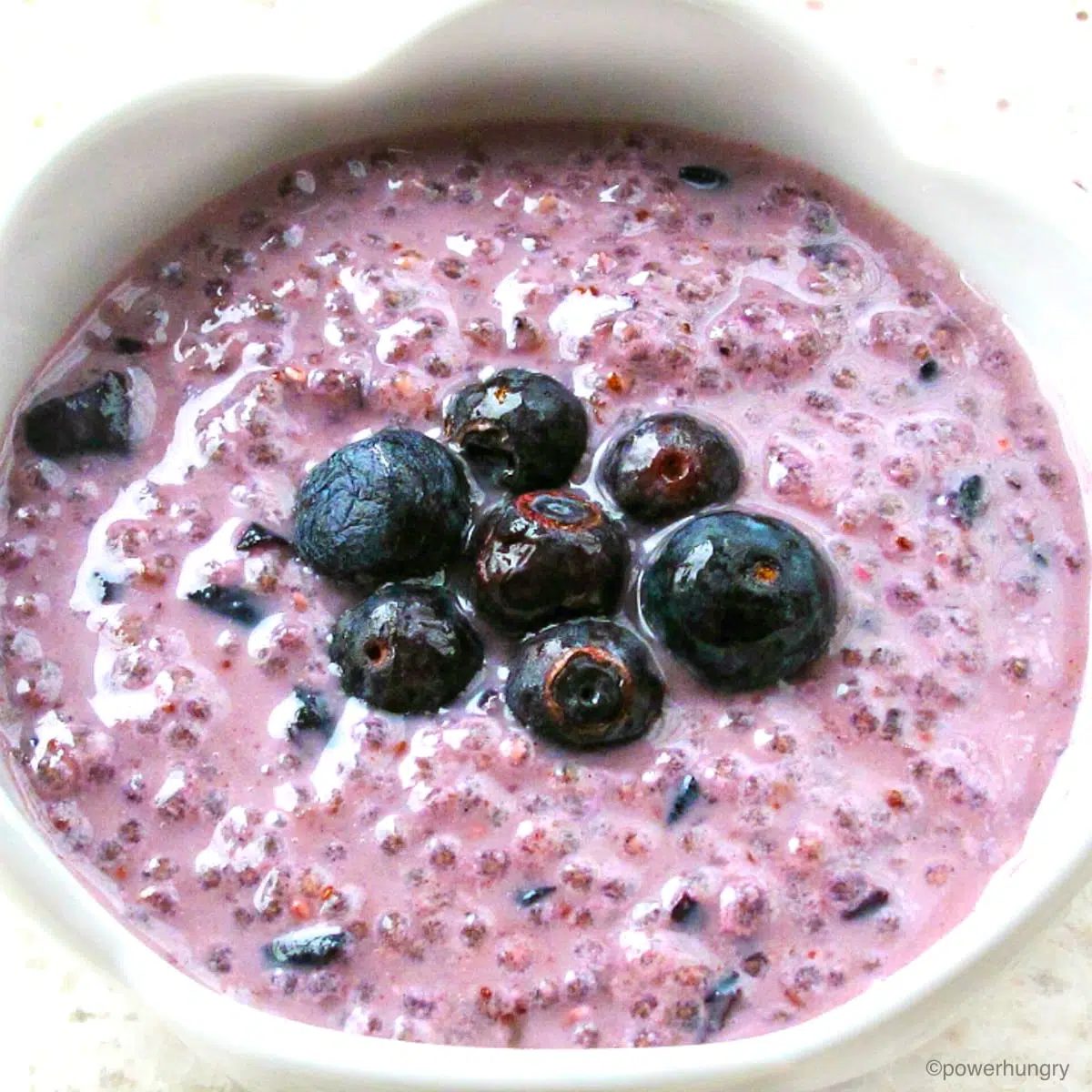 Blueberry Chia Seed Pudding (No Added Sugar)