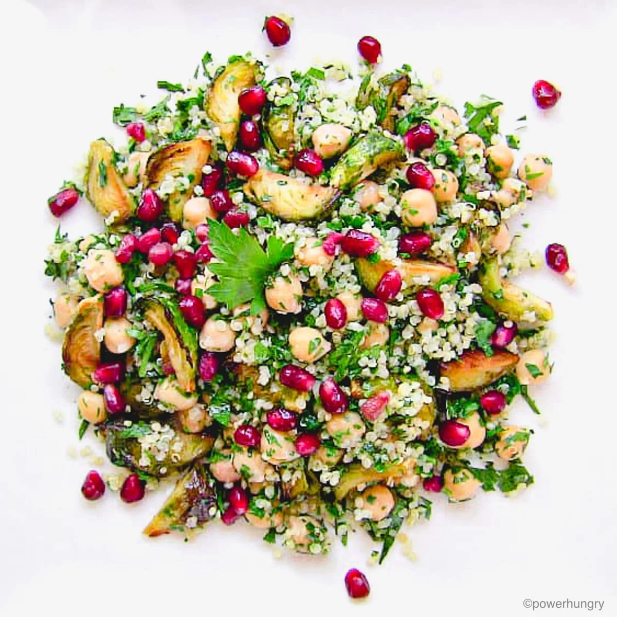 Brussels Sprouts Quinoa Pomegranate Salad (Oil-free, High protein)