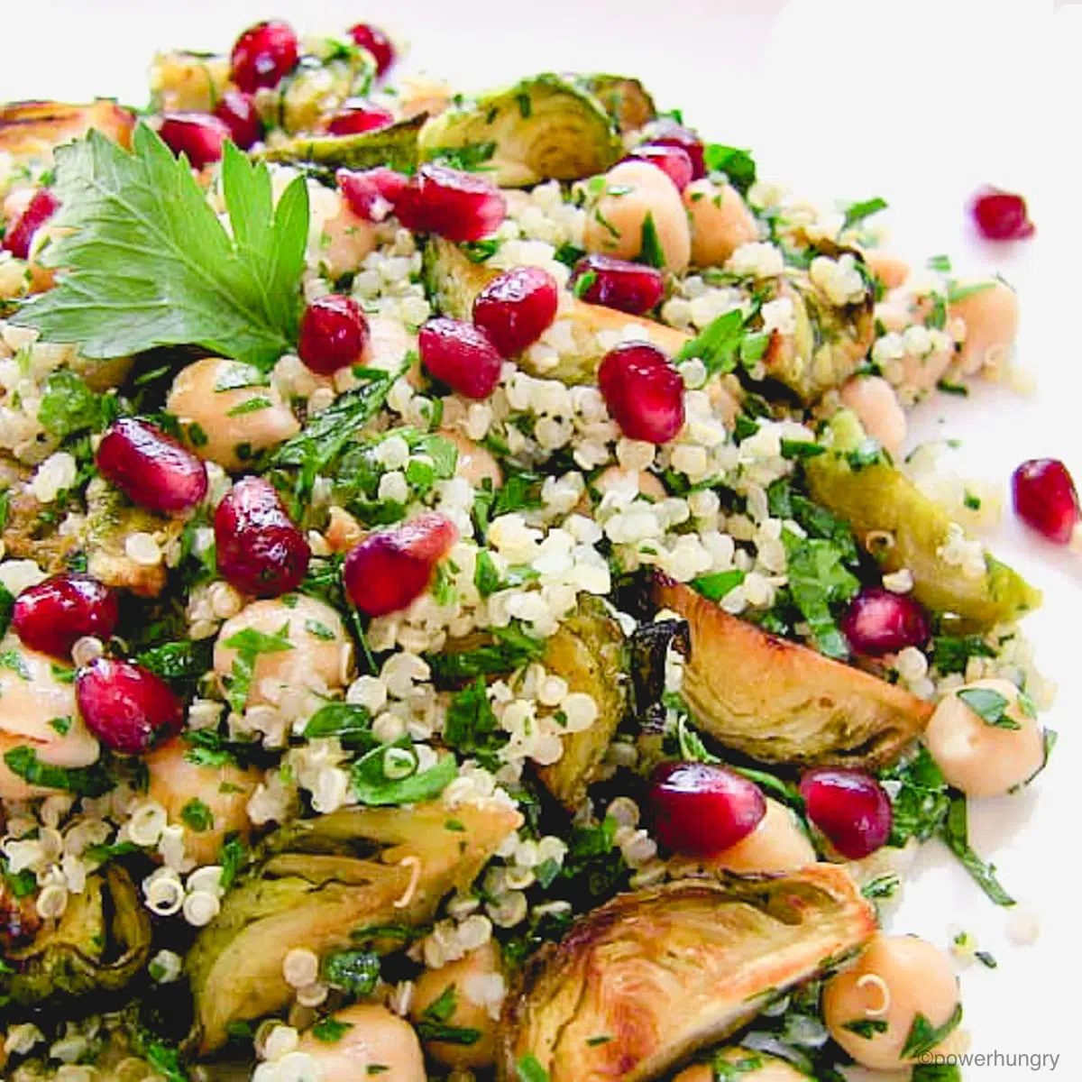 brussels sprouts quinoa pomegranate salad up close , on a white plate