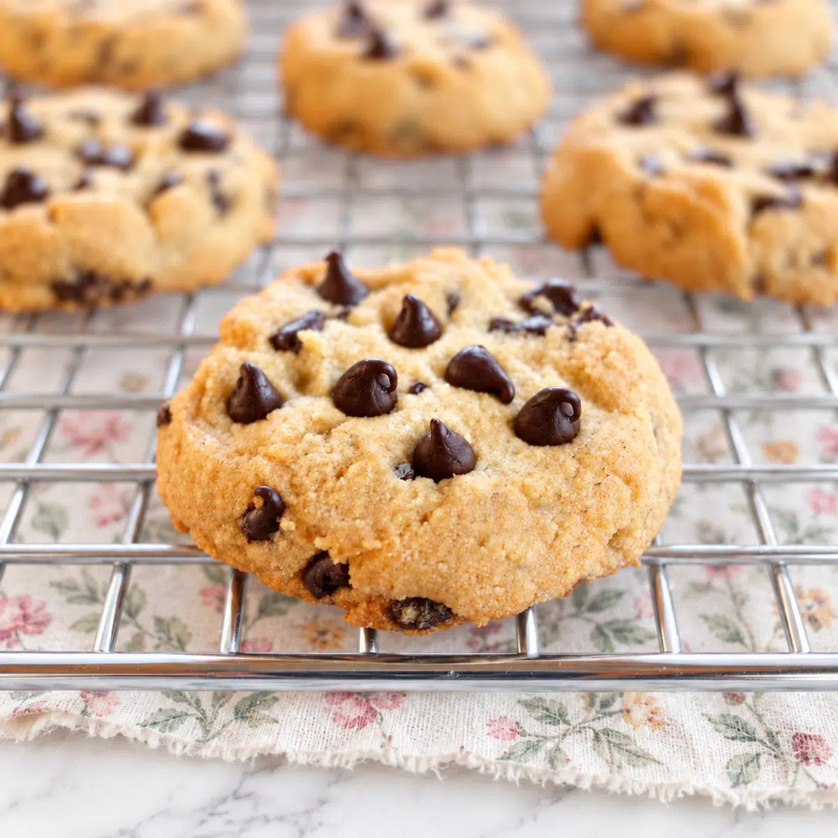 Cassava Flour Cookies with Chocolate Chips