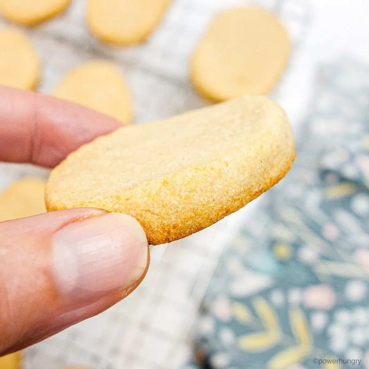 cassava flour shortbread cookies, one held in a hand