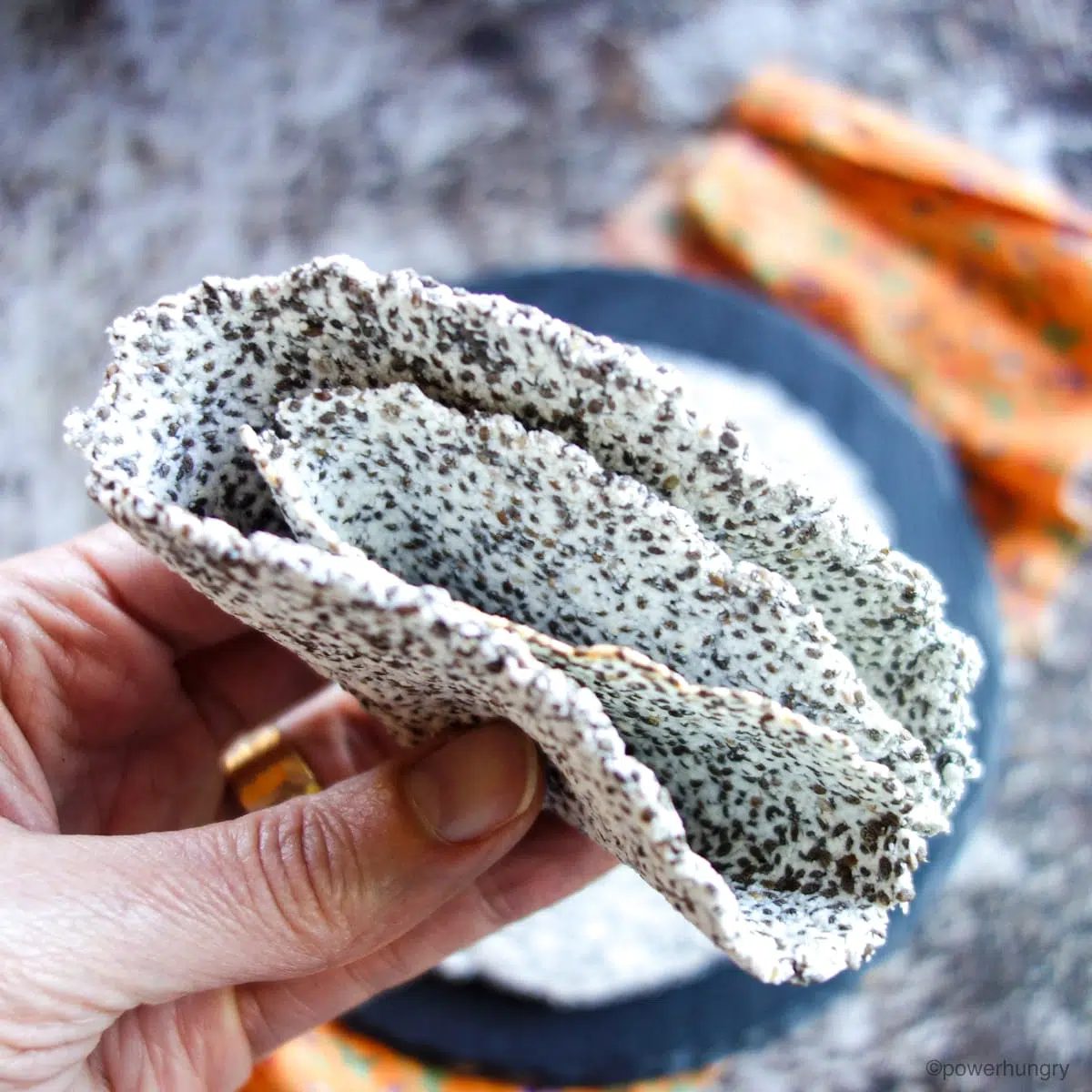 tortilla held up close, folded into quarters