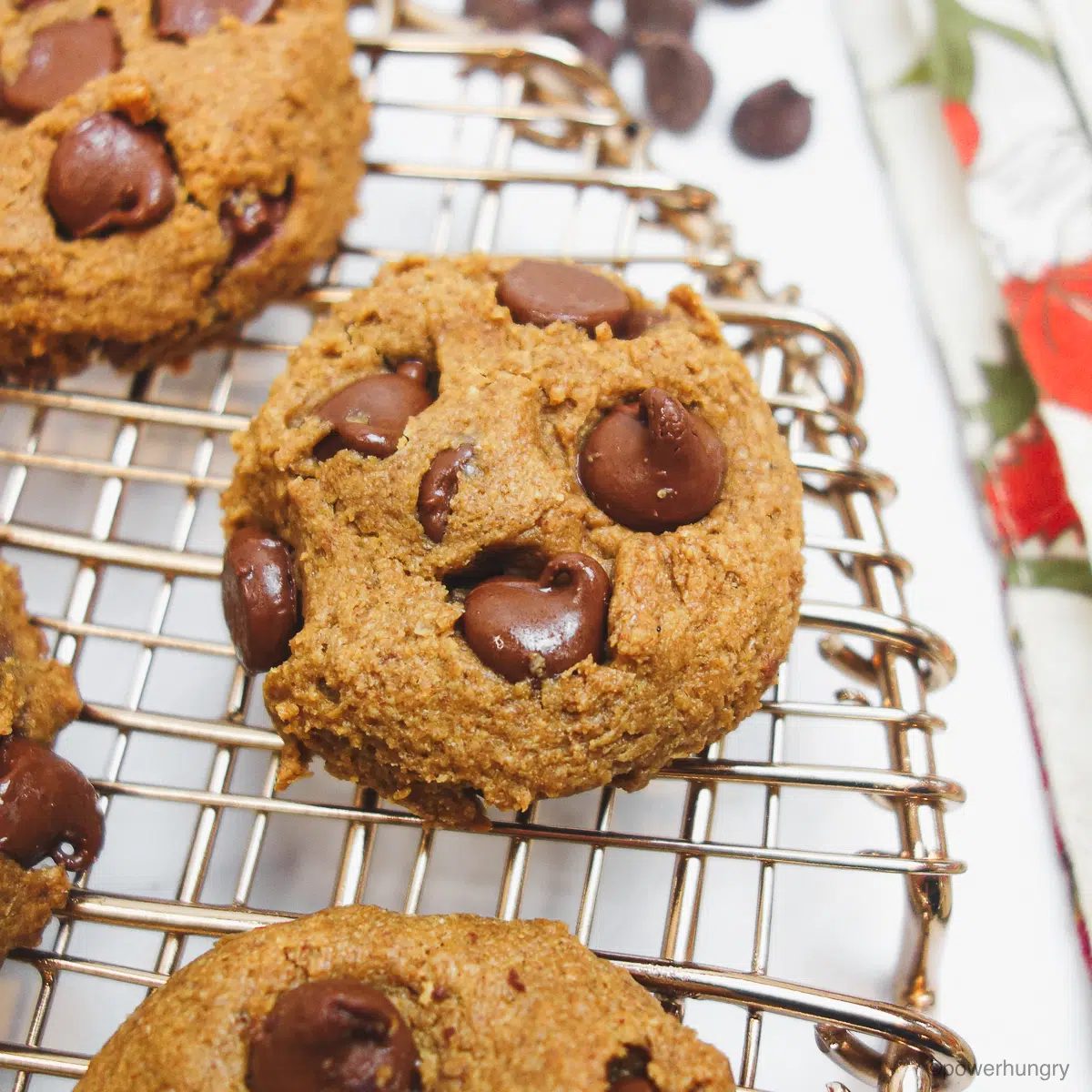 Chocolate Chip Flax Cookies (Flourless, V, GF)