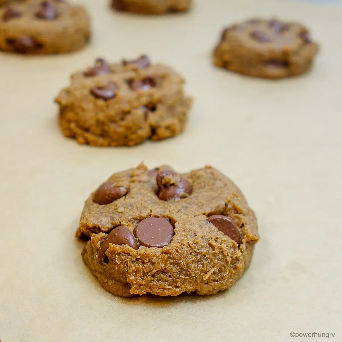 baked chocolate chip flax cookies on a baking sheet