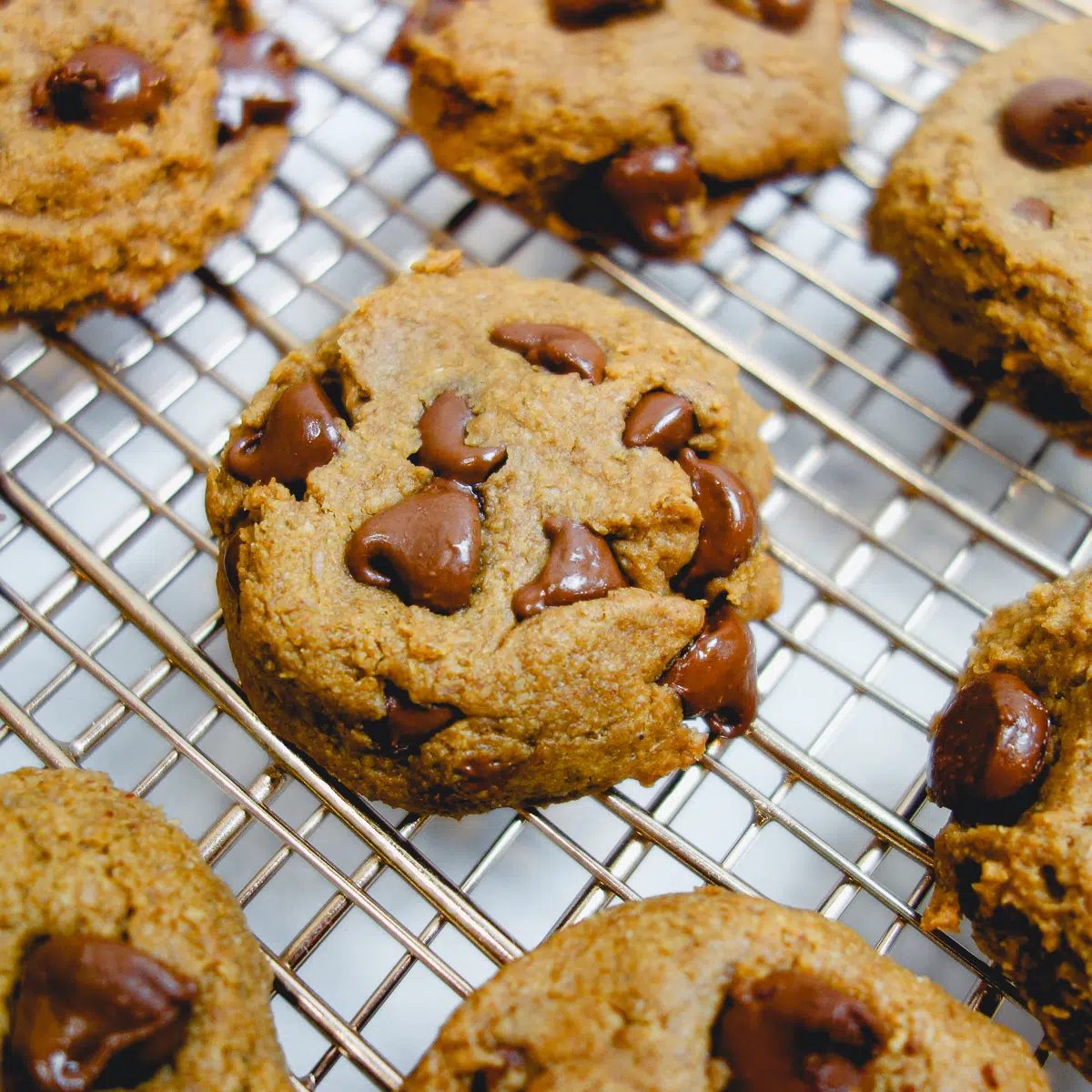 close up of chocolate chip flax cookies on copper cooling rack