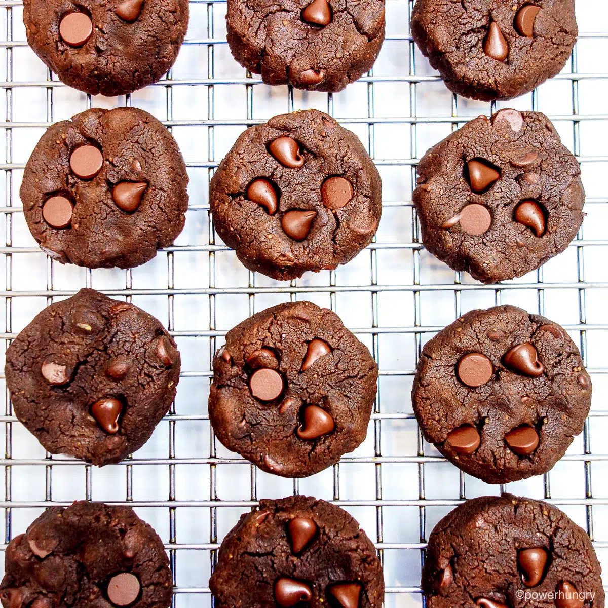 chocolate cookies cooling on a cooling rack