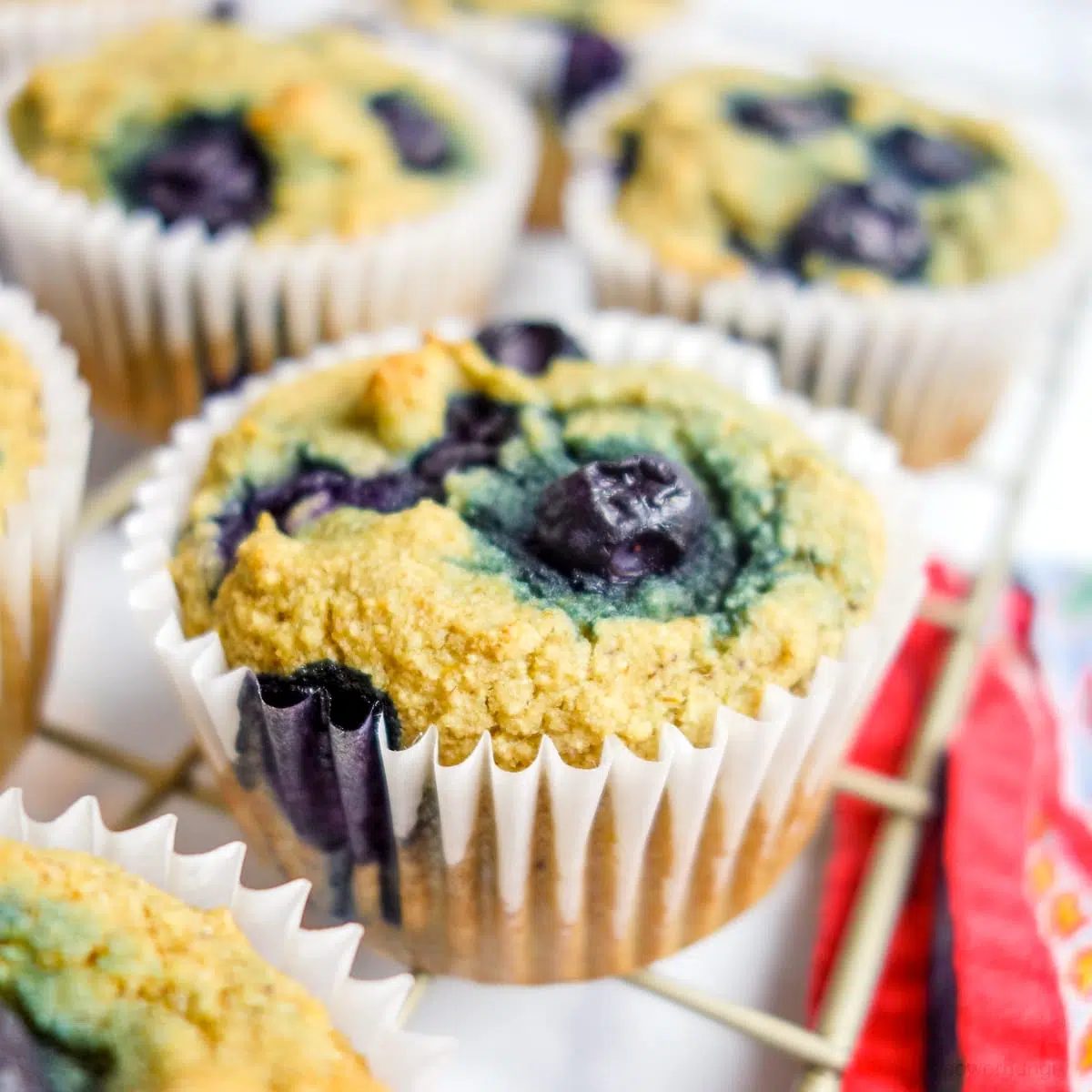 coconut flour oat blueberry muffins on a cooling rack with a colorful napkin alongside