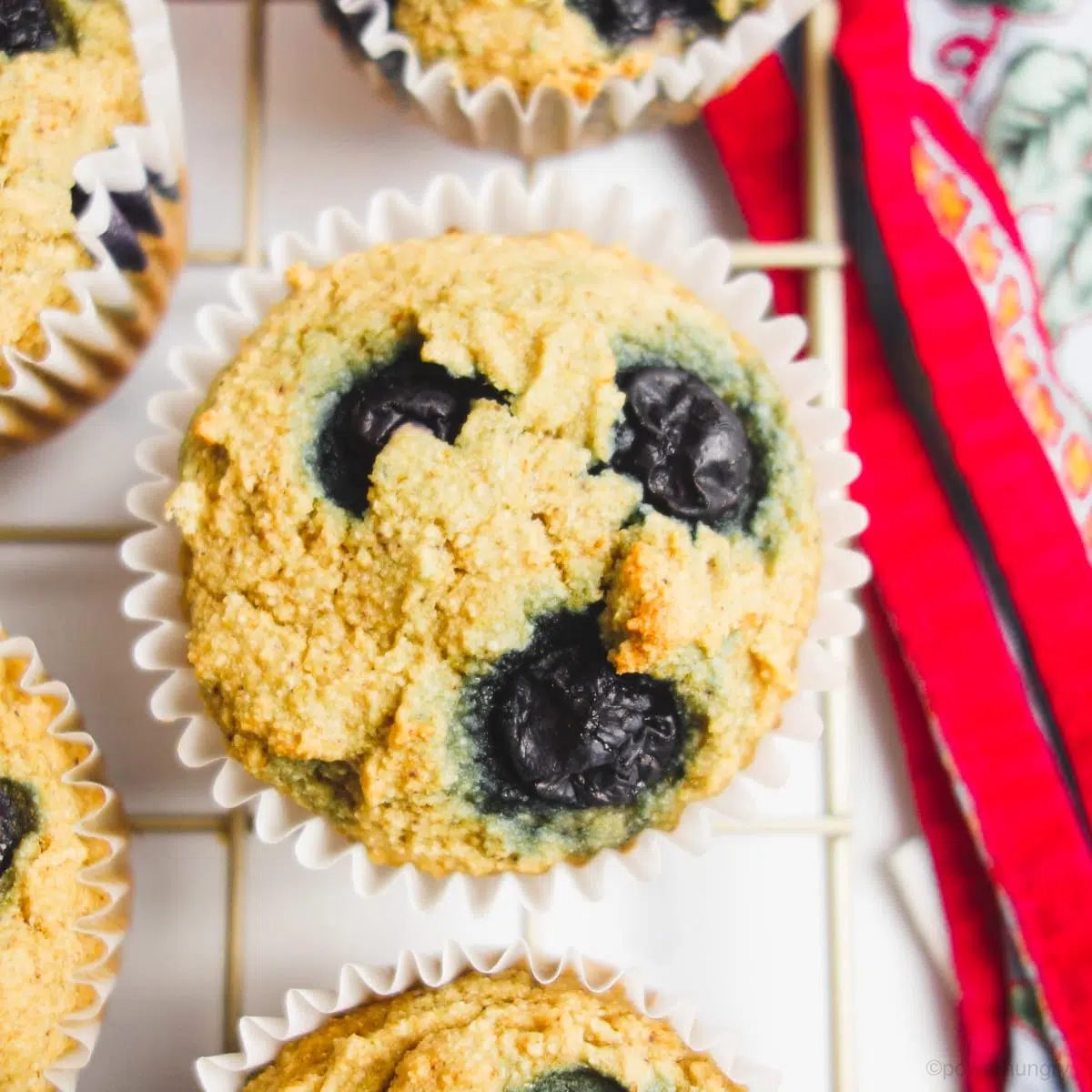 overhead shot of vegan blueberry muffins on a cooling rack