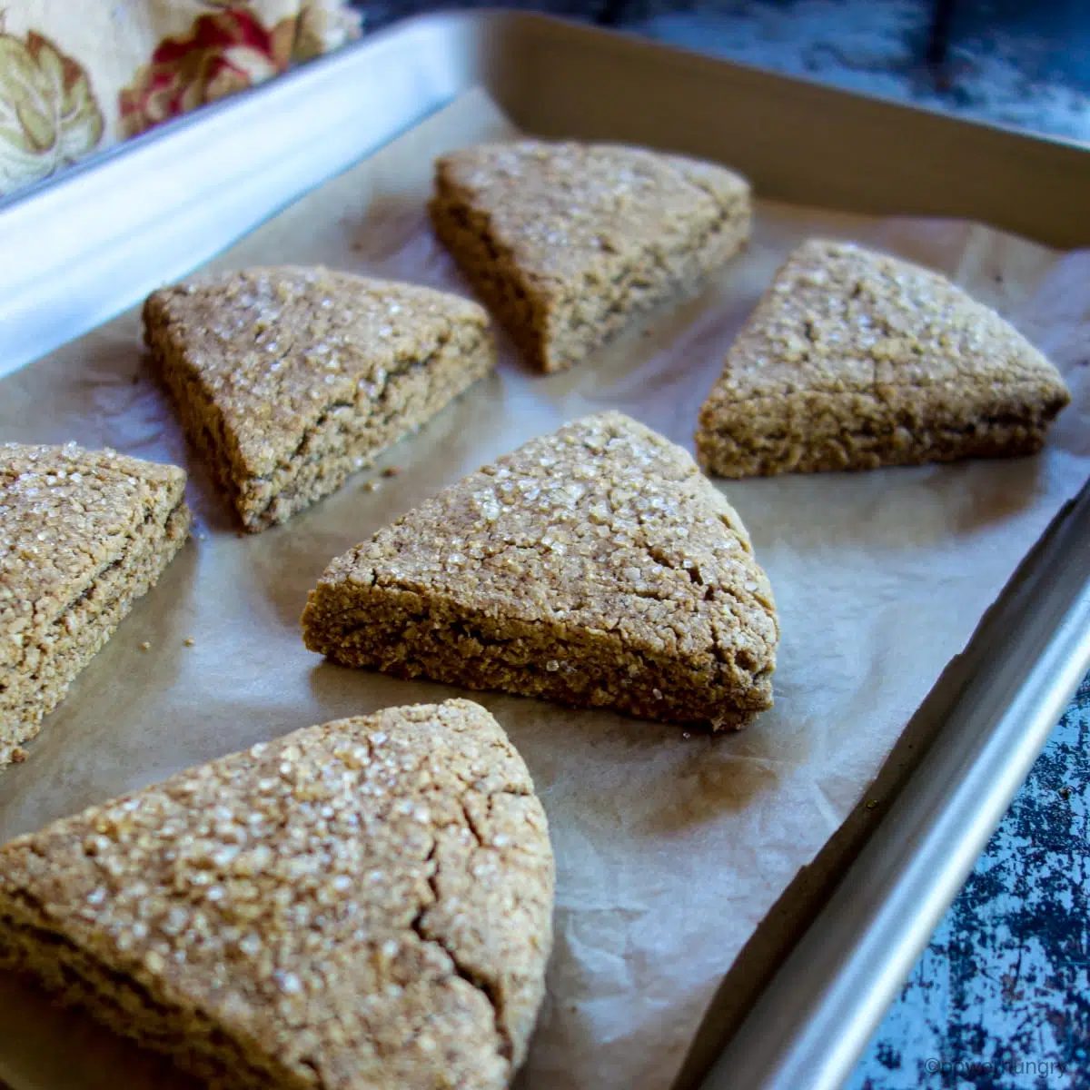 baked gingerbread scones on a parchment paper lined baking sheet
