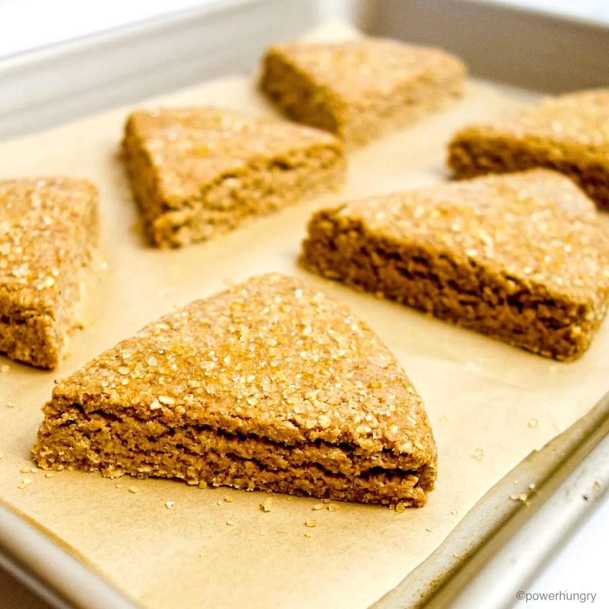unbaked gingerbread scones on a parchment lined baking sheet