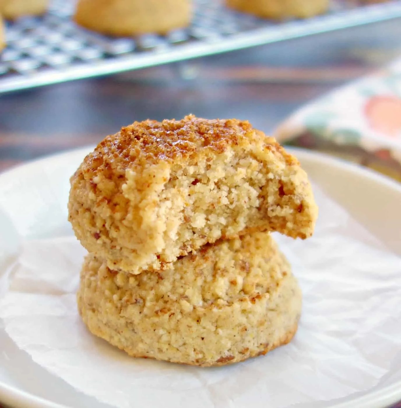 Vegan Coconut Flour Snickerdoodles {Grain-Free, Nut-Free}
