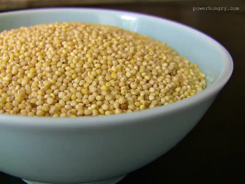 millet close up