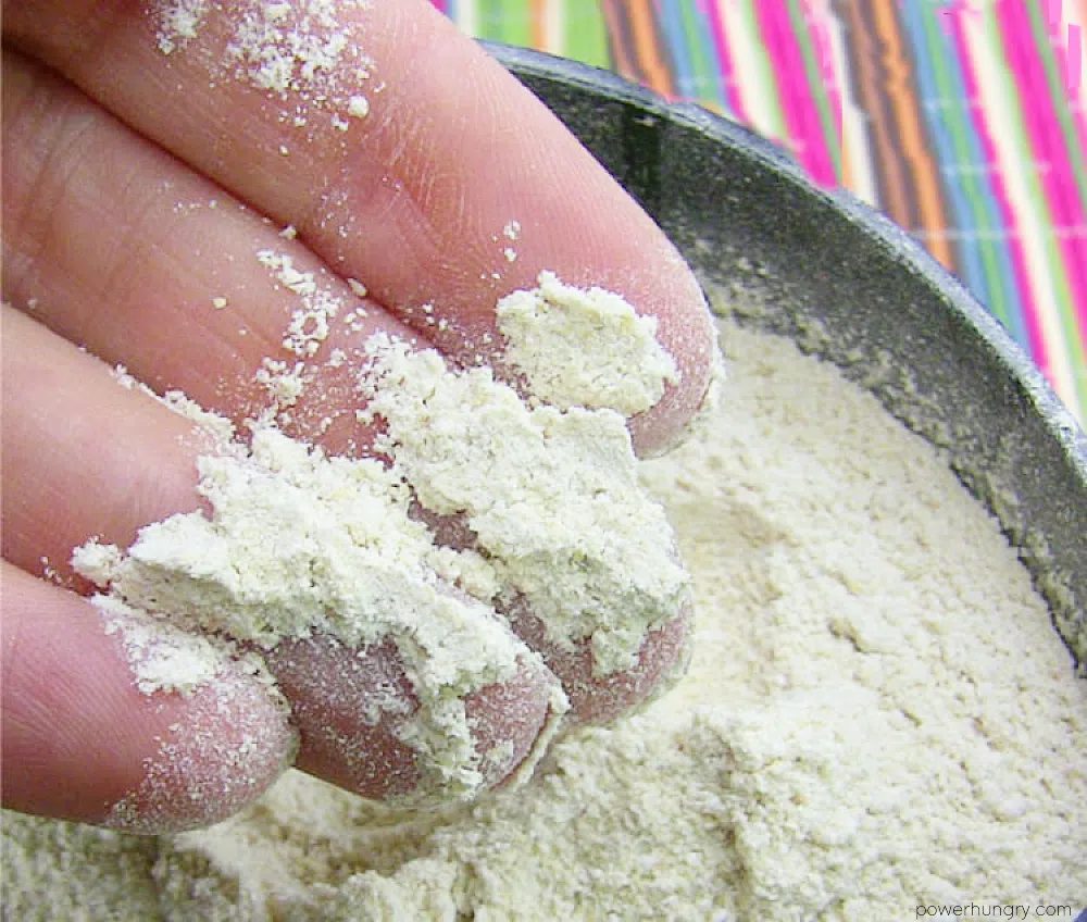 hand holding freshly ground quinoa flour