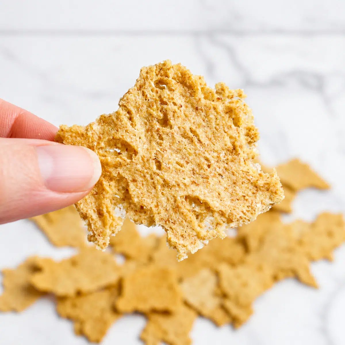 close-up of a hand-held brown rice chip