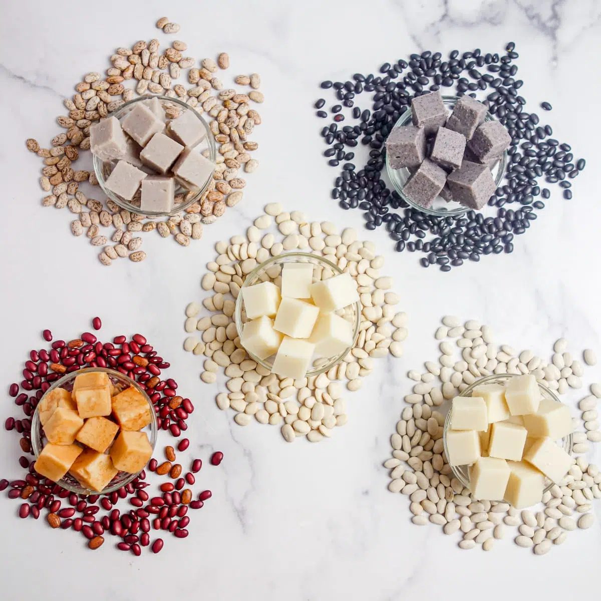 overhead shot of bean tofu surrounded by dried beans