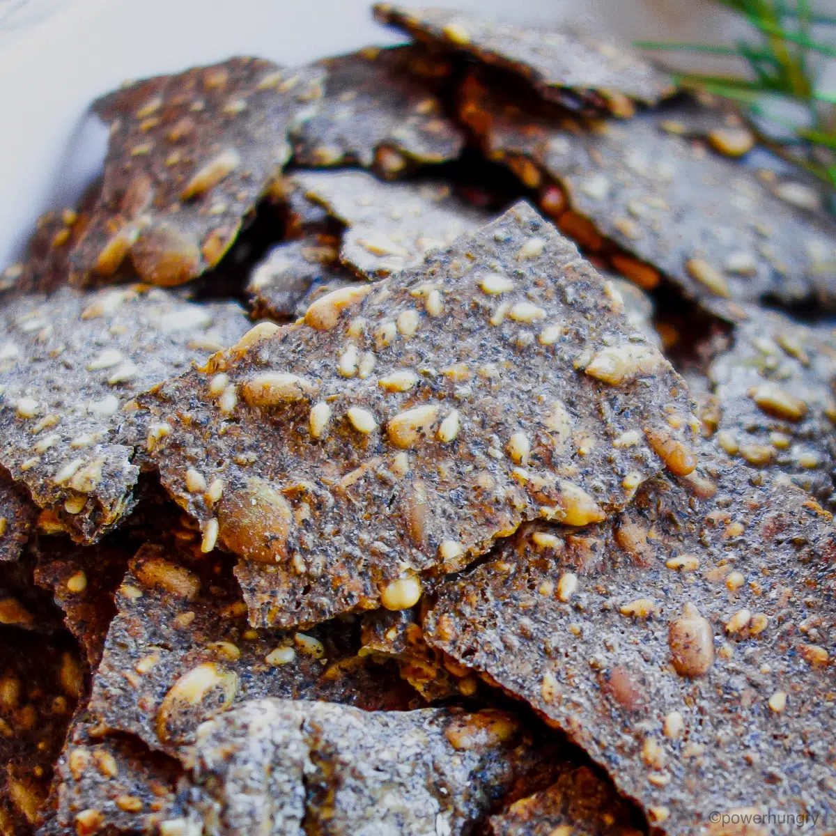 close up of seeded buckwheat cracker