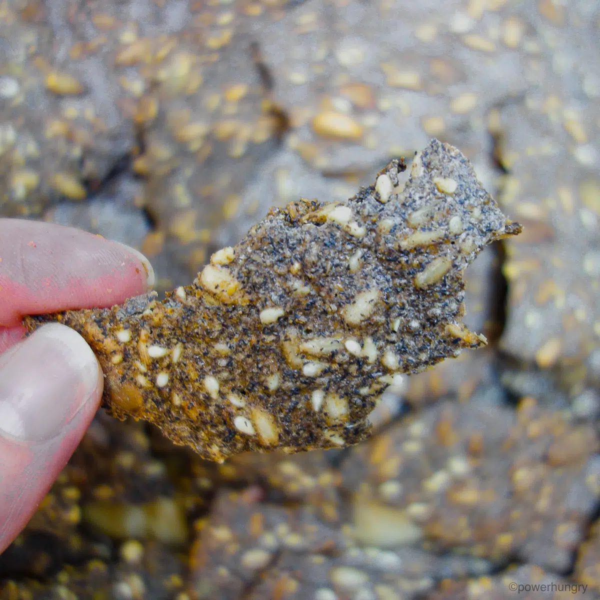 seeded buckwheat cracker, held in fingertips