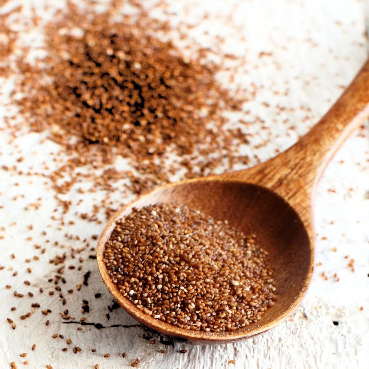 spoonful of whole grain teff