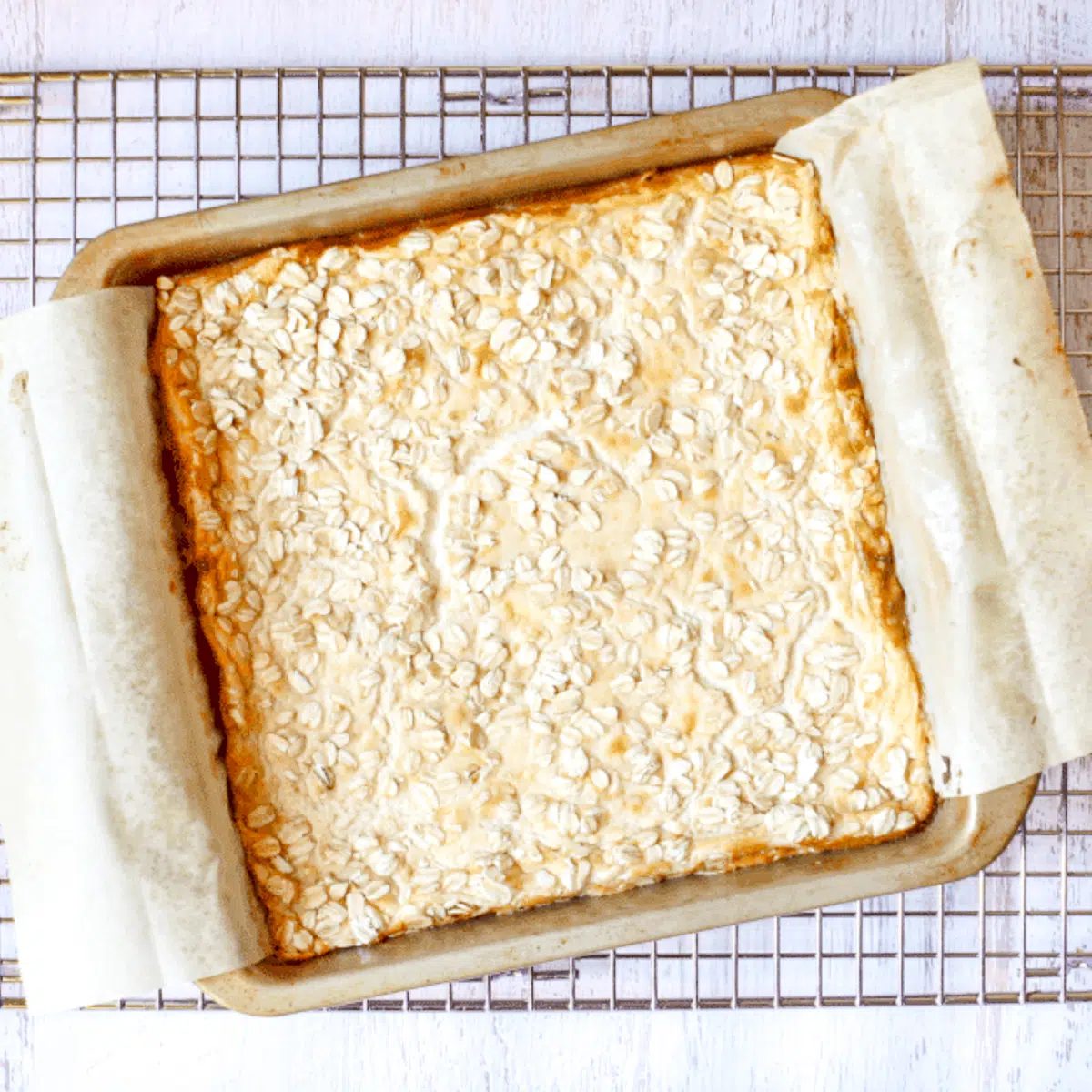 high protein vegan cheesecake bars on a cooling rack