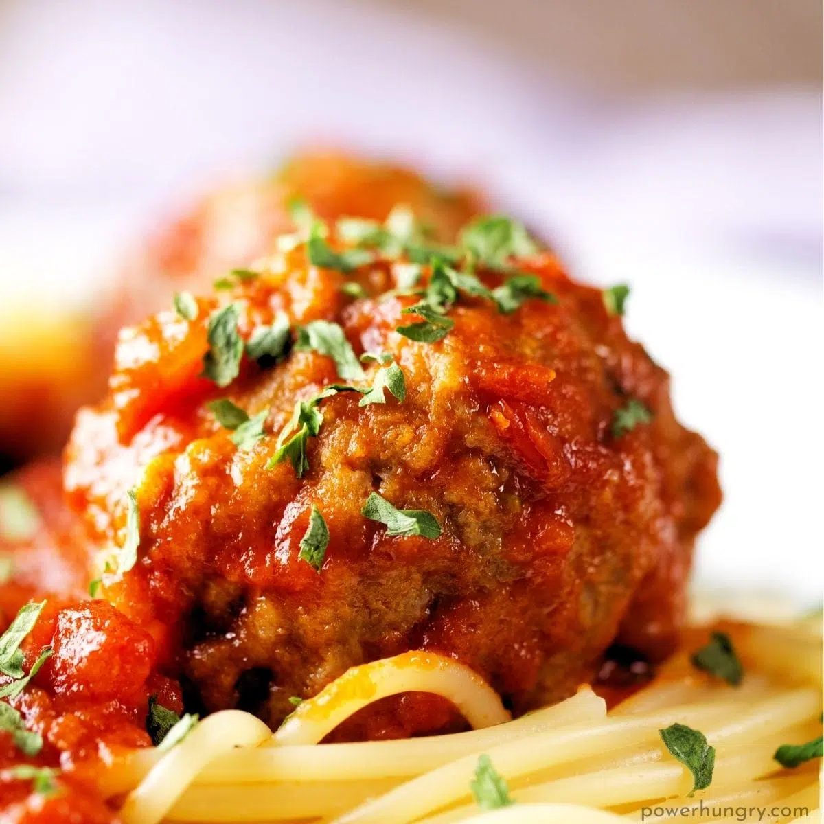 a single vegan tip meatball