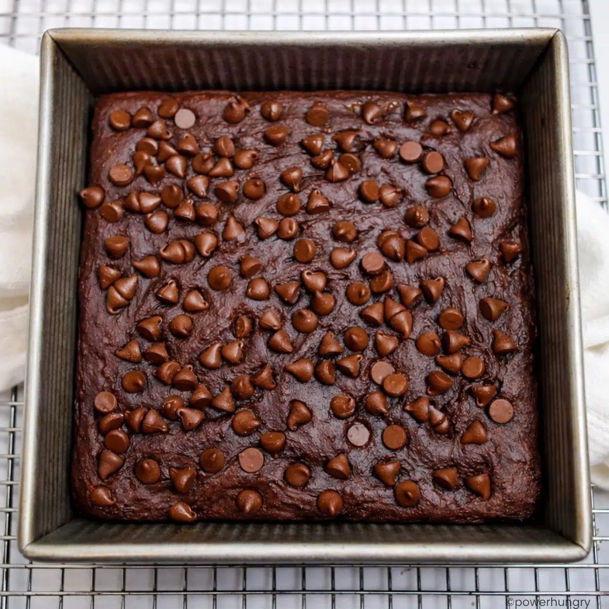 baked brownies in a pan