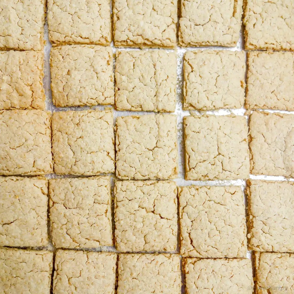 overhead shot of no-roll oat crackers on a baking sheet shortly after coming out of the oven