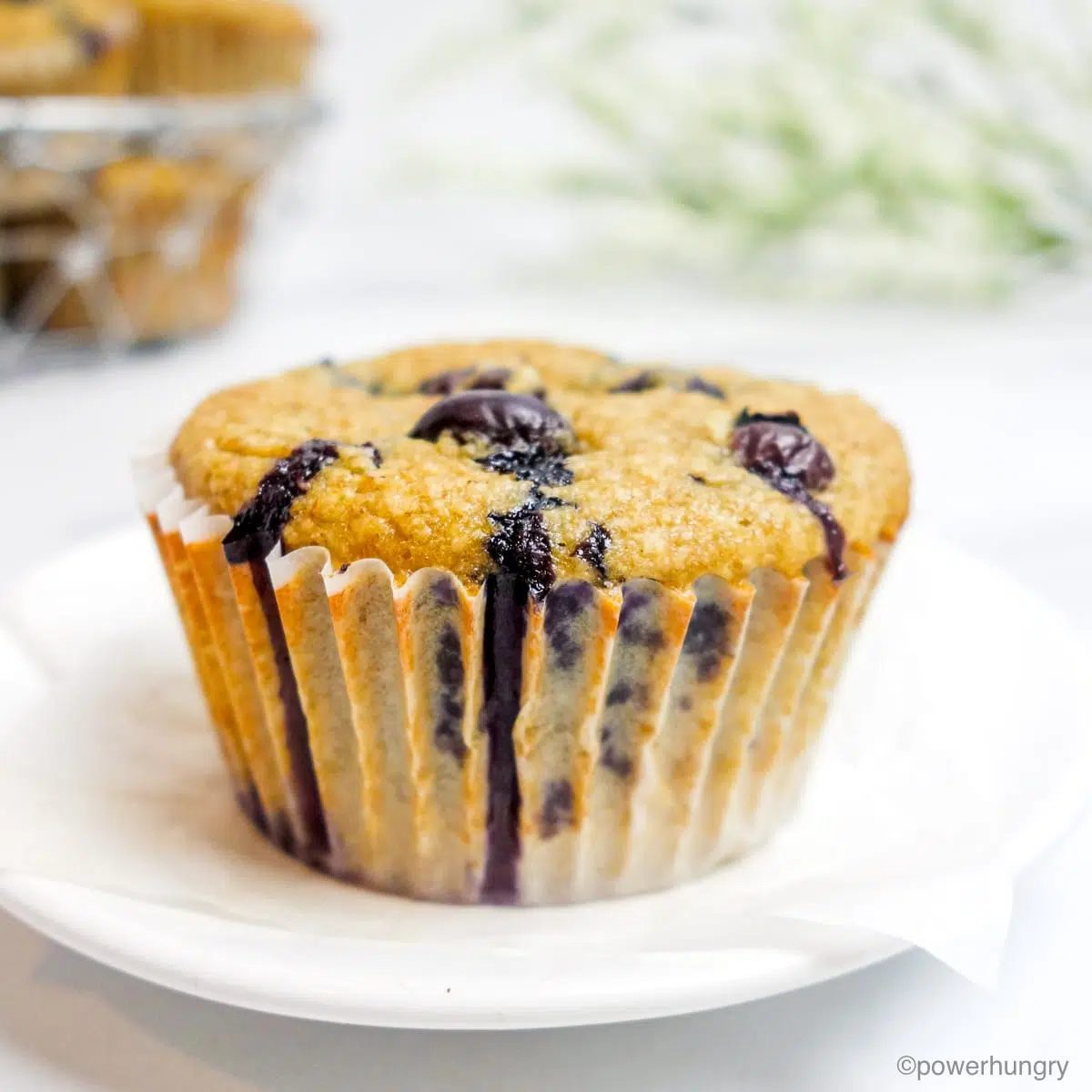Oil-Free Vegan Blueberry Oat Muffins (Gluten-Free)