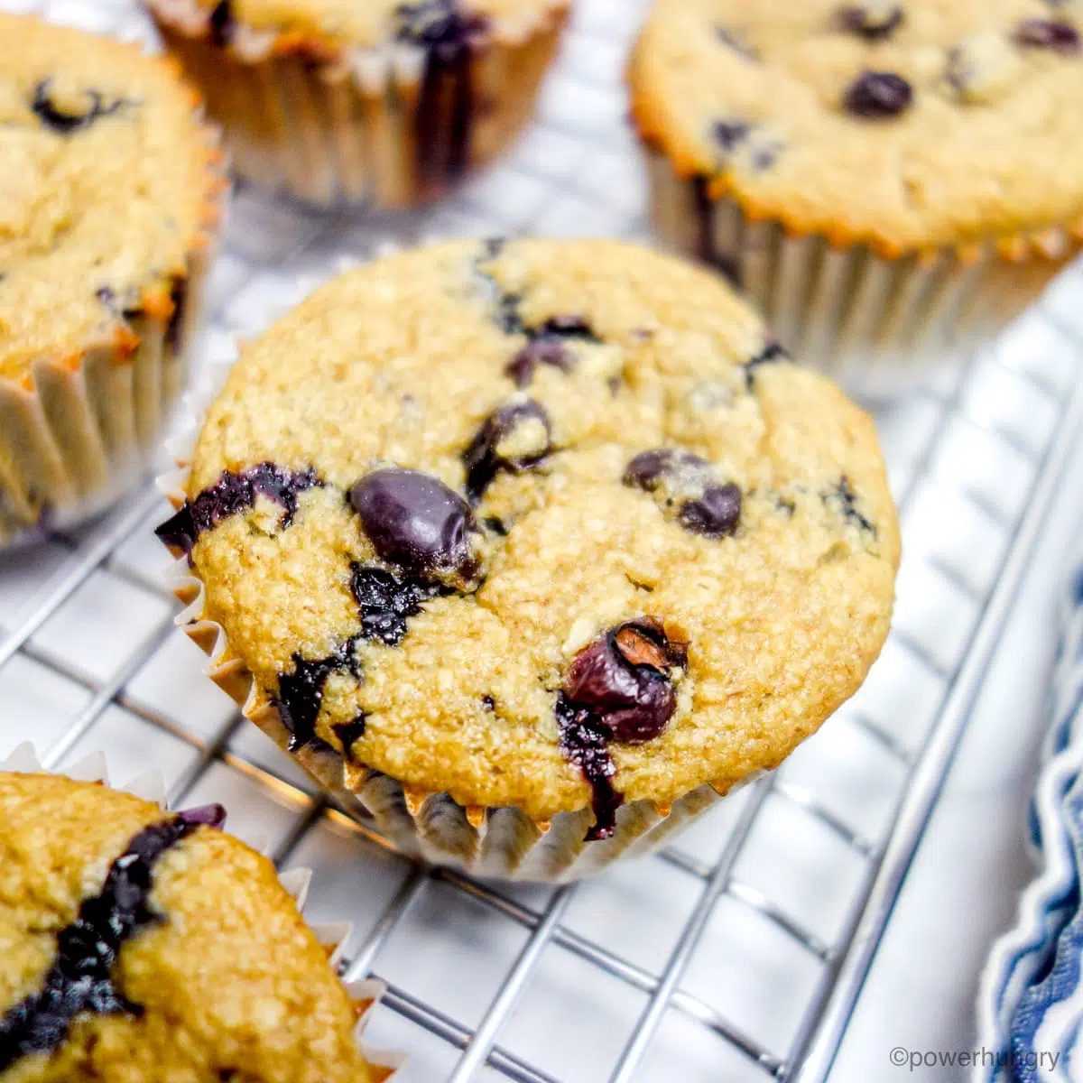 oil-free vegan pat blueberry muffins cooling on a cooling rack