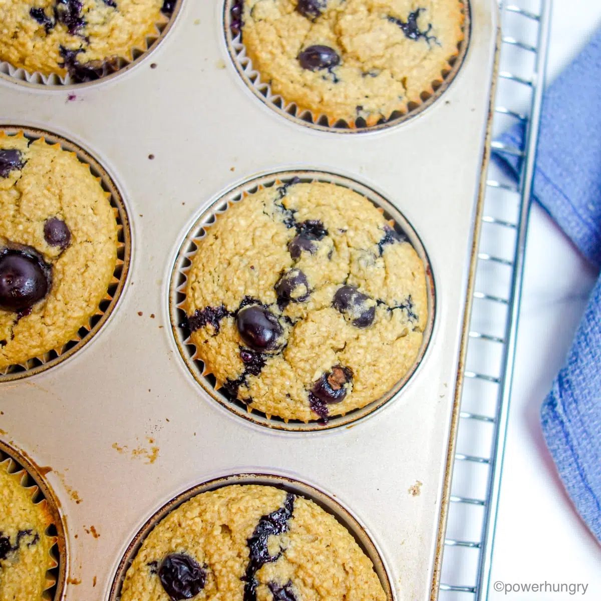 overhead photo of baked blueberry muffins in a muffin tin