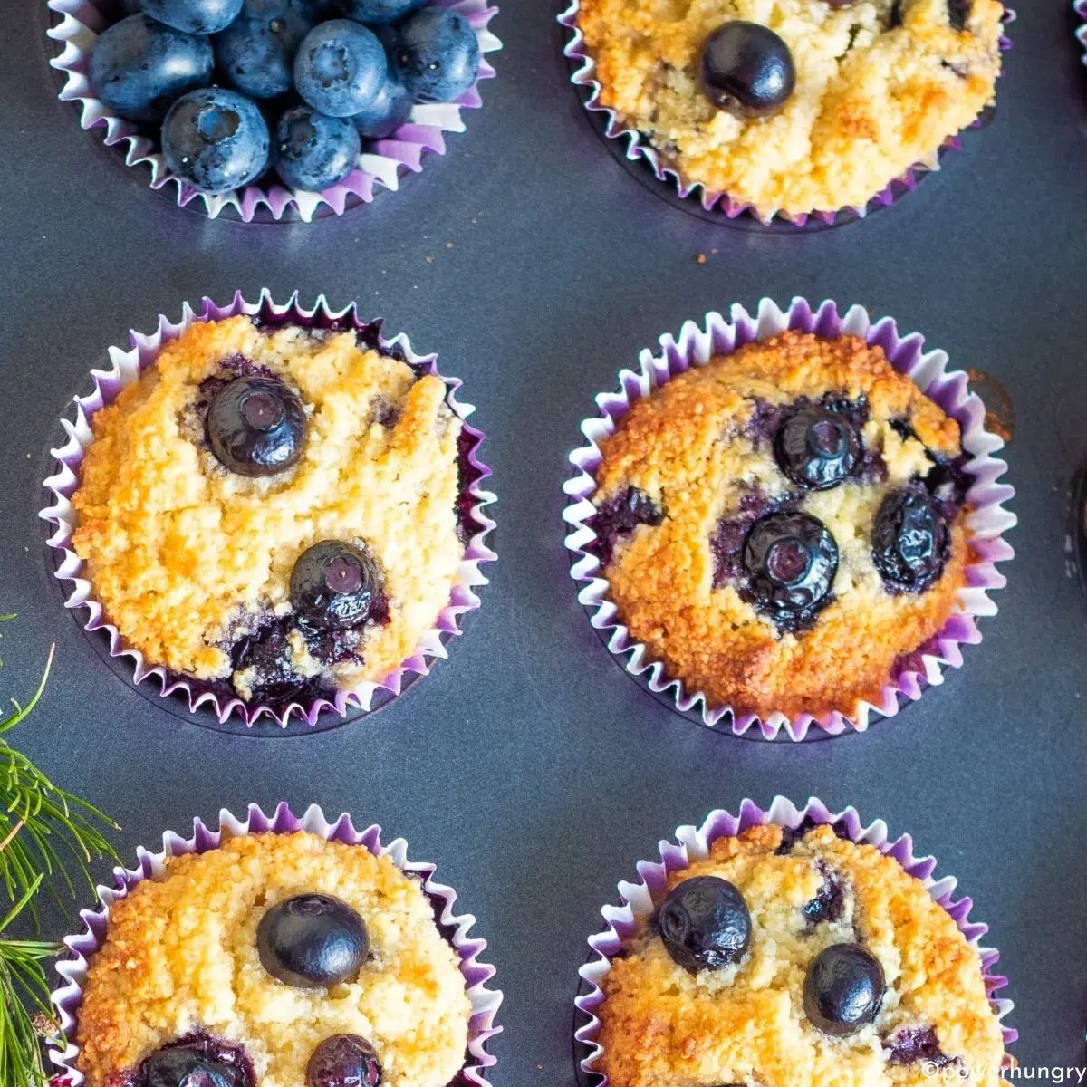 overhead shot of vegan almond flour muffins