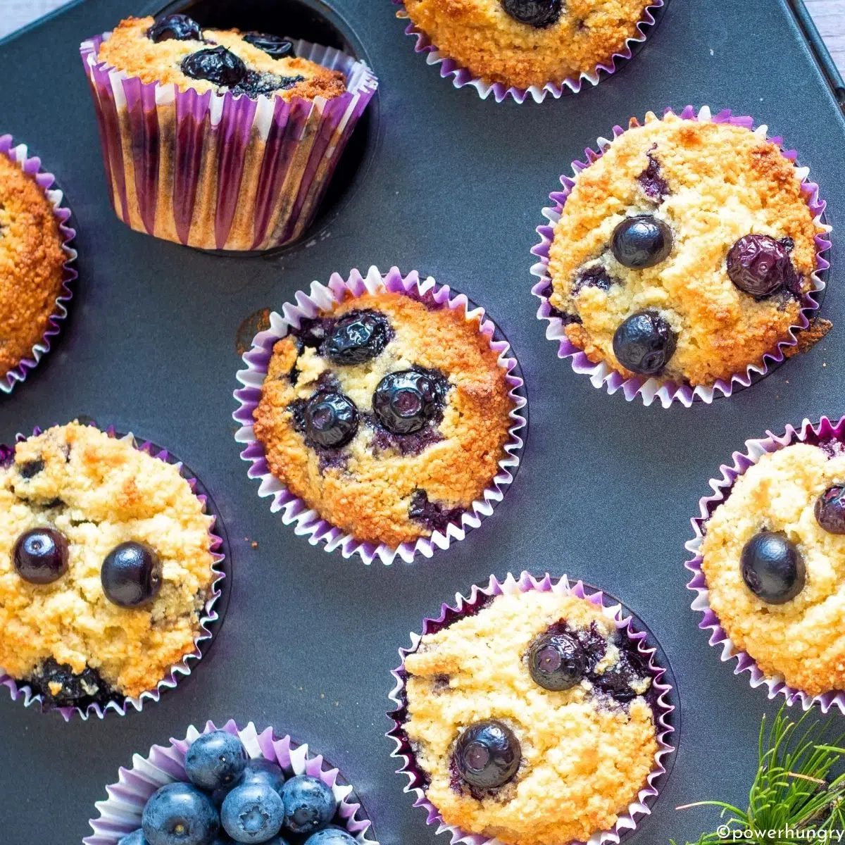 almond flour muffins in a muffin tin