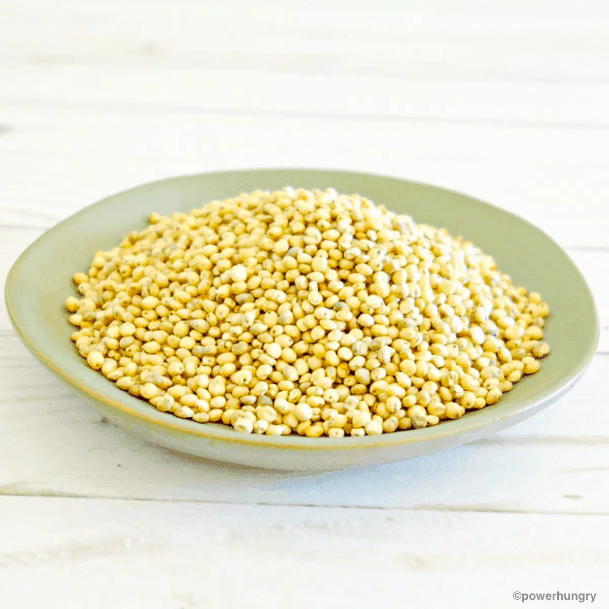 raw sorghum grains in a sage green dish