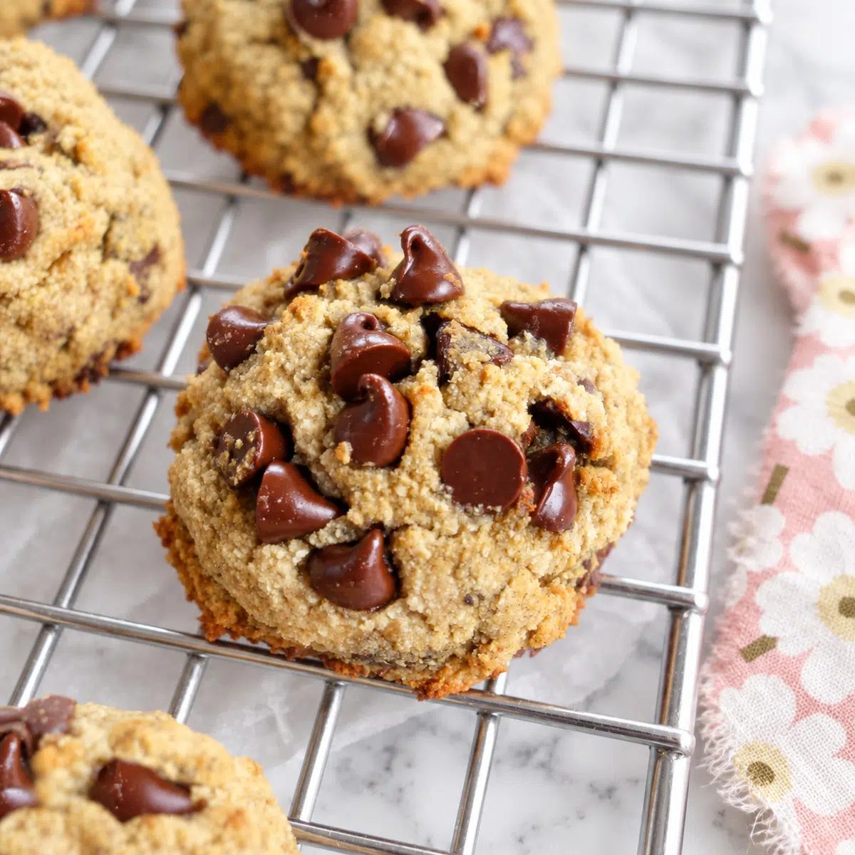 Soft Coconut Flour Chocolate Chip Cookies