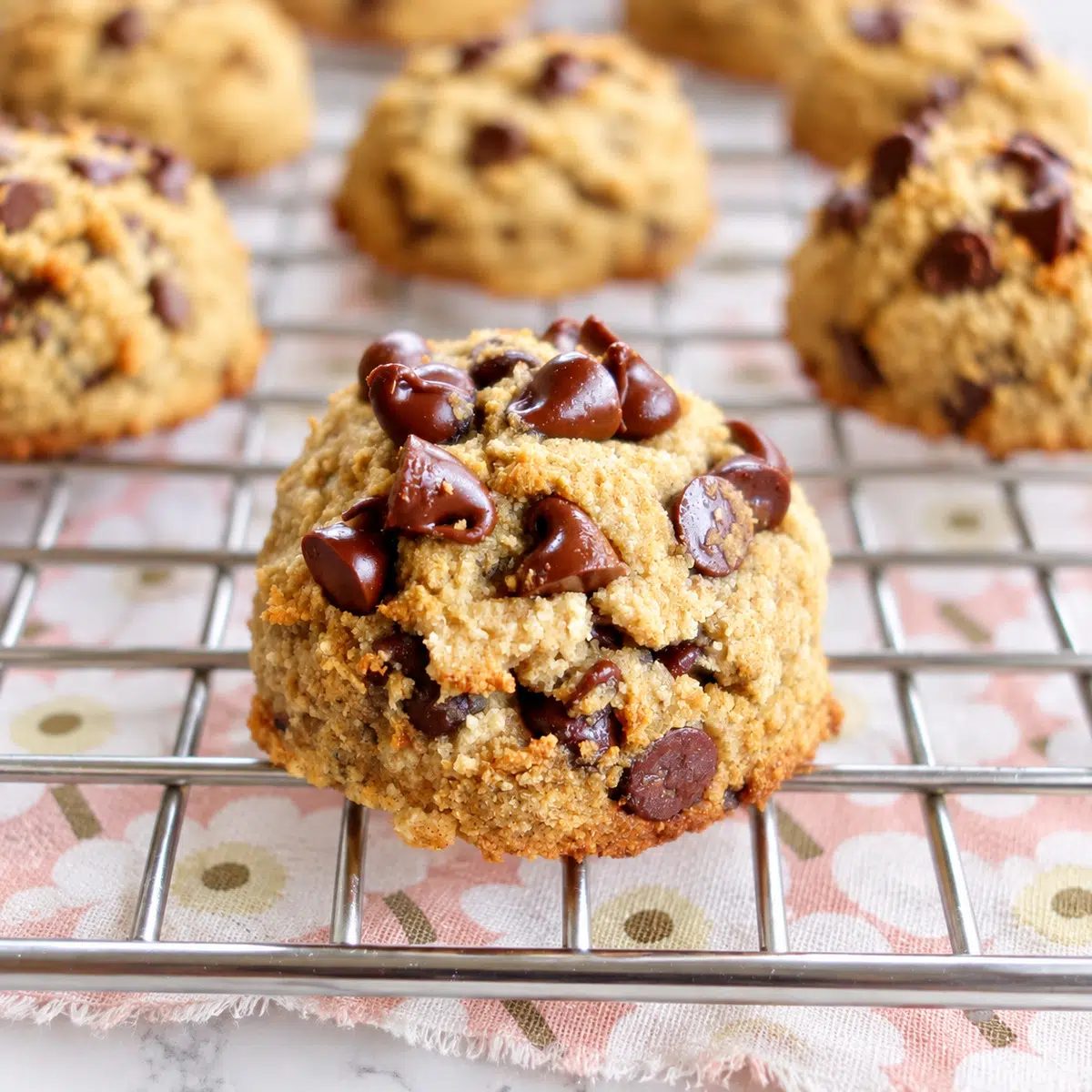 coconut flour chocolate chip cookies close up