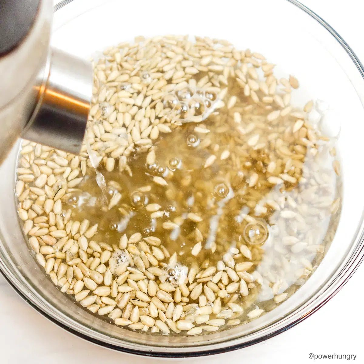 glass bowl full of sunflower seed kernels getting soaked with boiling water